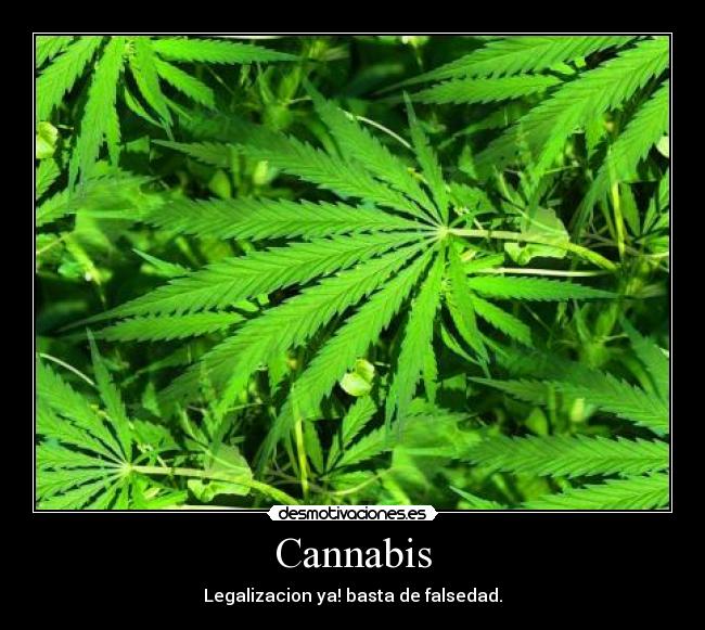 Cannabis -