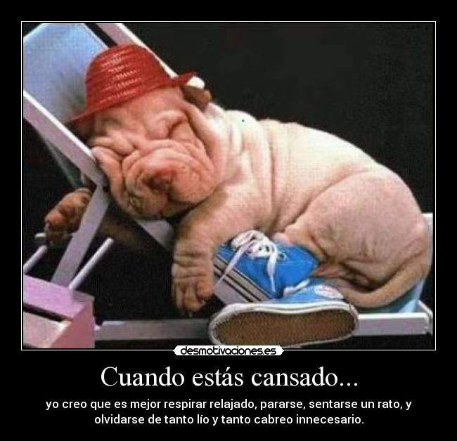 Cuando estás cansado... -