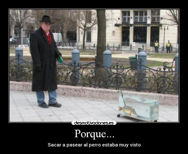 Porque... - 