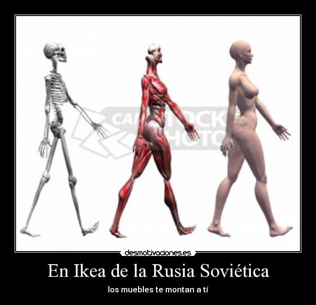 carteles rusia desmotivaciones