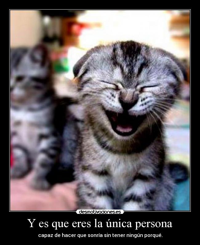 carteles risas desmotivaciones