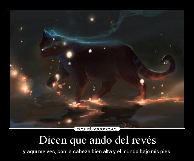 carteles nach desafio gatos frases rimas desmotivaciones