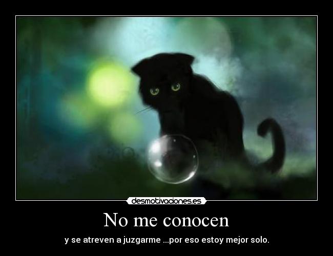 carteles frases musica poesia gatos solo soledad juzgar desmotivaciones