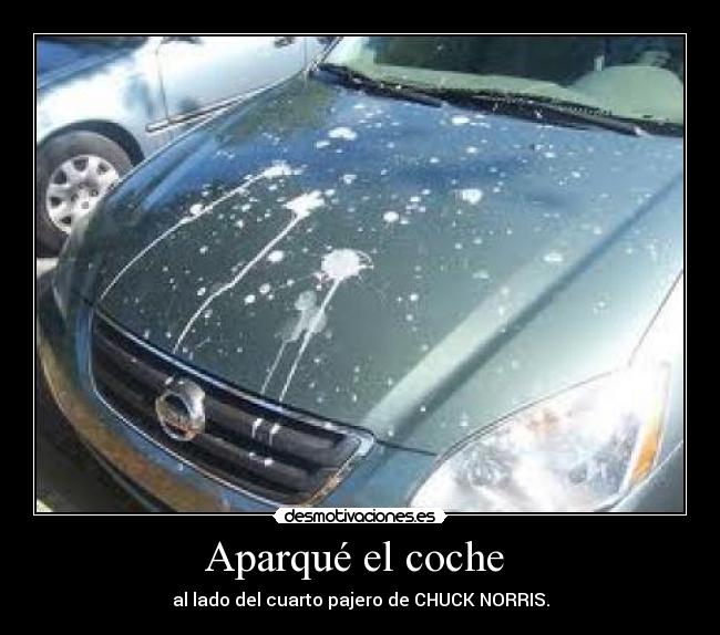 Aparqué el coche - al lado del cuarto pajero de CHUCK NORRIS.