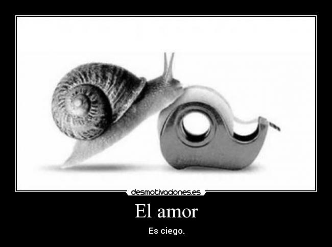 El amor -