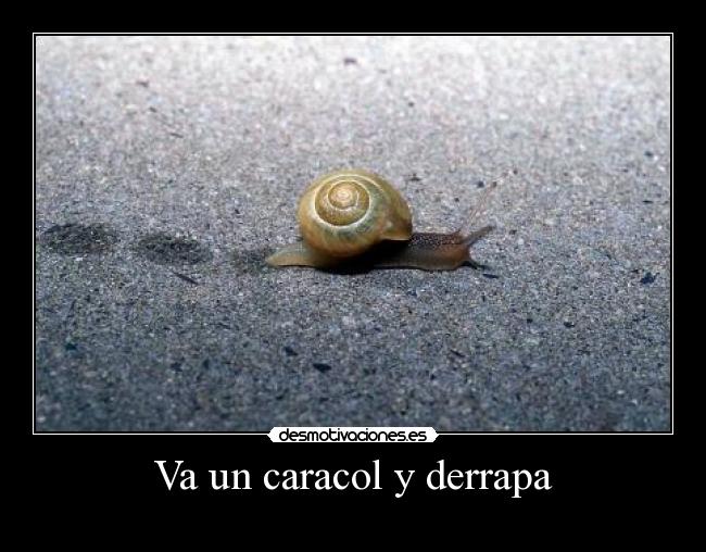 Va un caracol y derrapa - 