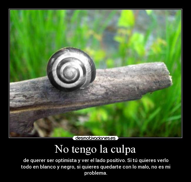 No tengo la culpa - de querer ser optimista y ver el lado positivo. Si tú quieres verlo
todo en blanco y negro, si quieres quedarte con lo malo, no es mi
problema.