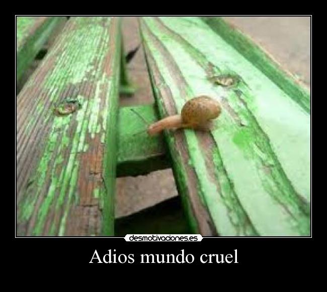 Adios mundo cruel - 