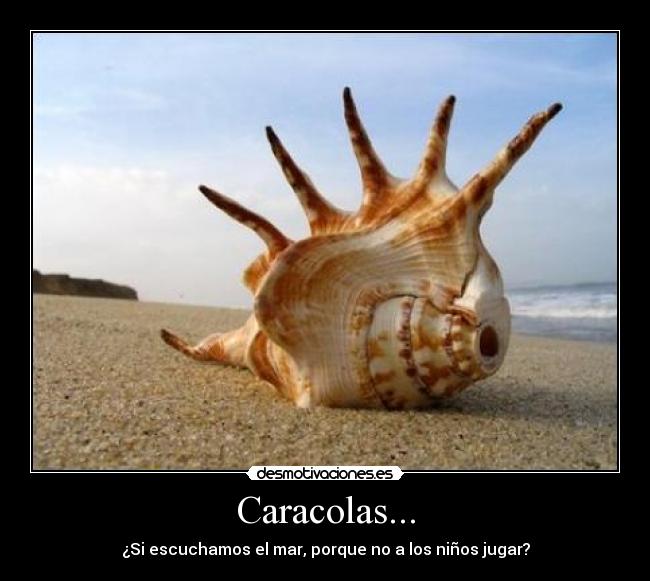 Caracolas... -