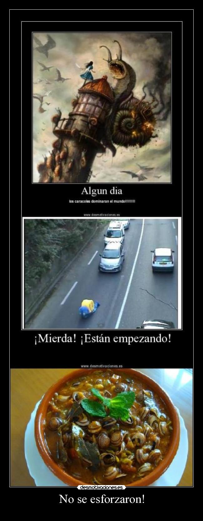 No se esforzaron! -