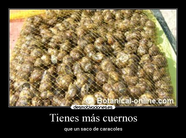 Tienes más cuernos - que un saco de caracoles