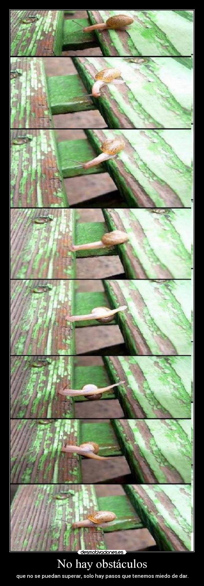 No hay obstáculos -