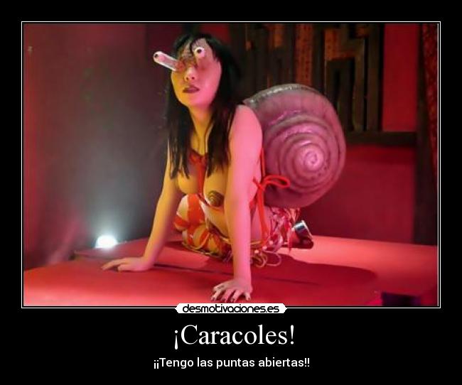 carteles omg desmotivaciones