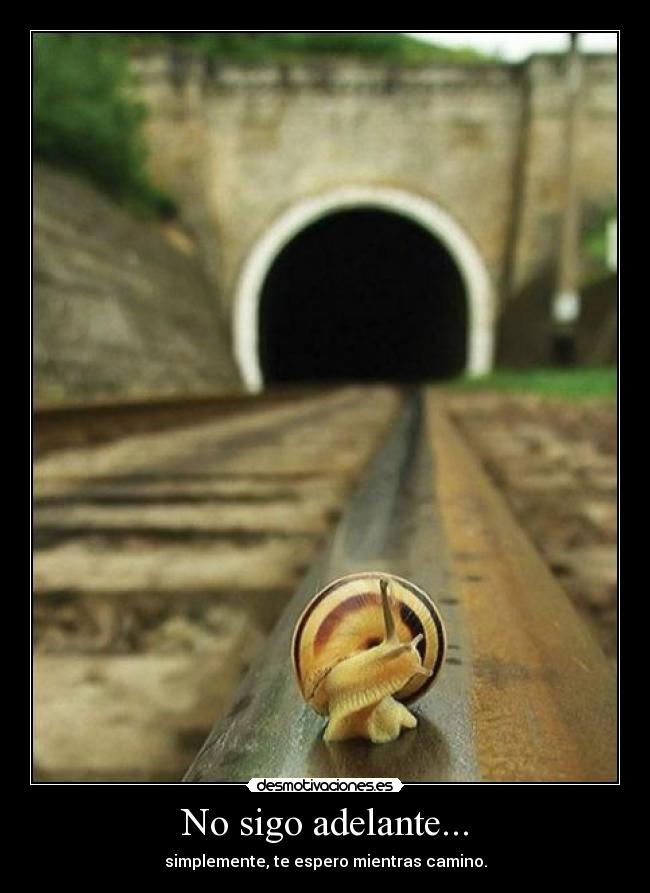 No sigo adelante... - 