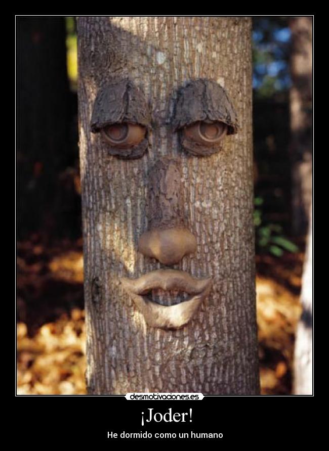 carteles desmotivaciones