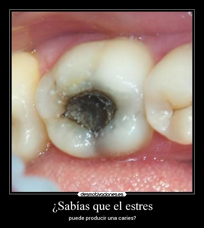 ¿Sabías que el estres -