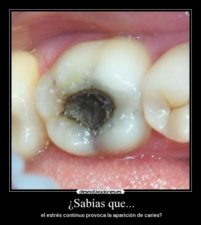 carteles dgfsdg desmotivaciones