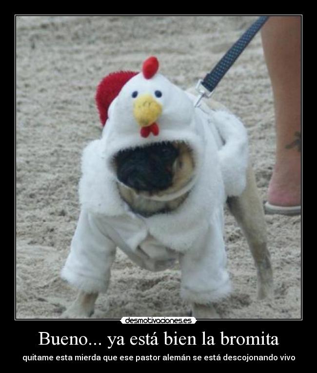 Bueno... ya está bien la bromita -