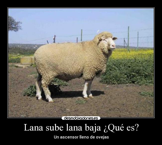 Lana sube lana baja ¿Qué es? - 