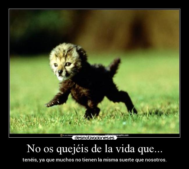 carteles vida desmotivaciones