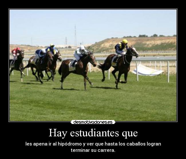 Hay estudiantes que - les apena ir al hipódromo y ver que hasta los caballos logran terminar su carrera.
