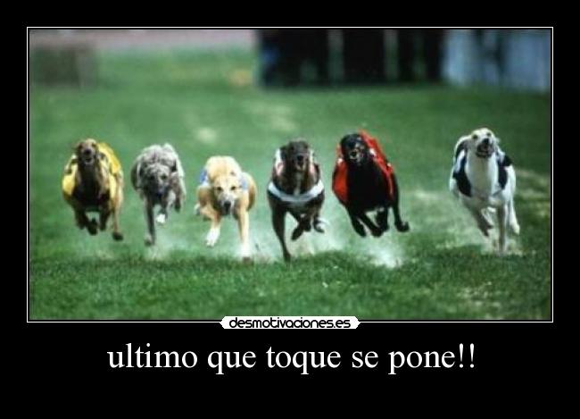 carteles perros futbol toque desmotivaciones