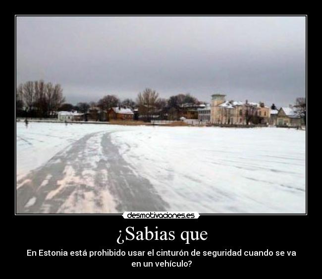 ¿Sabias que - En Estonia está prohibido usar el cinturón de seguridad cuando se va
en un vehículo?