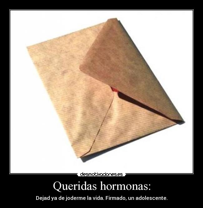 Queridas hormonas: -