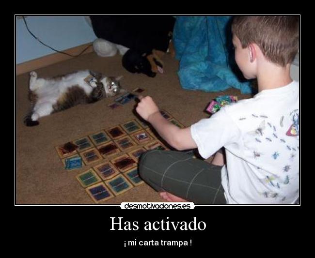 Has activado - 