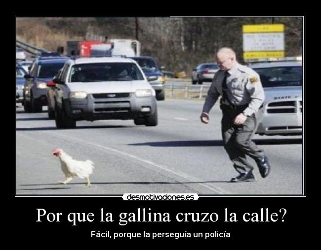 Por que la gallina cruzo la calle? - 