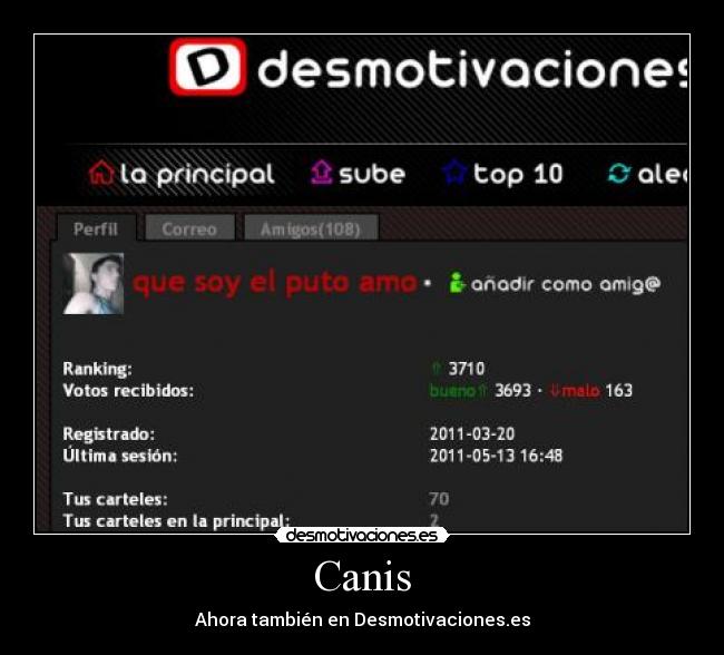 Canis - Ahora también en Desmotivaciones.es