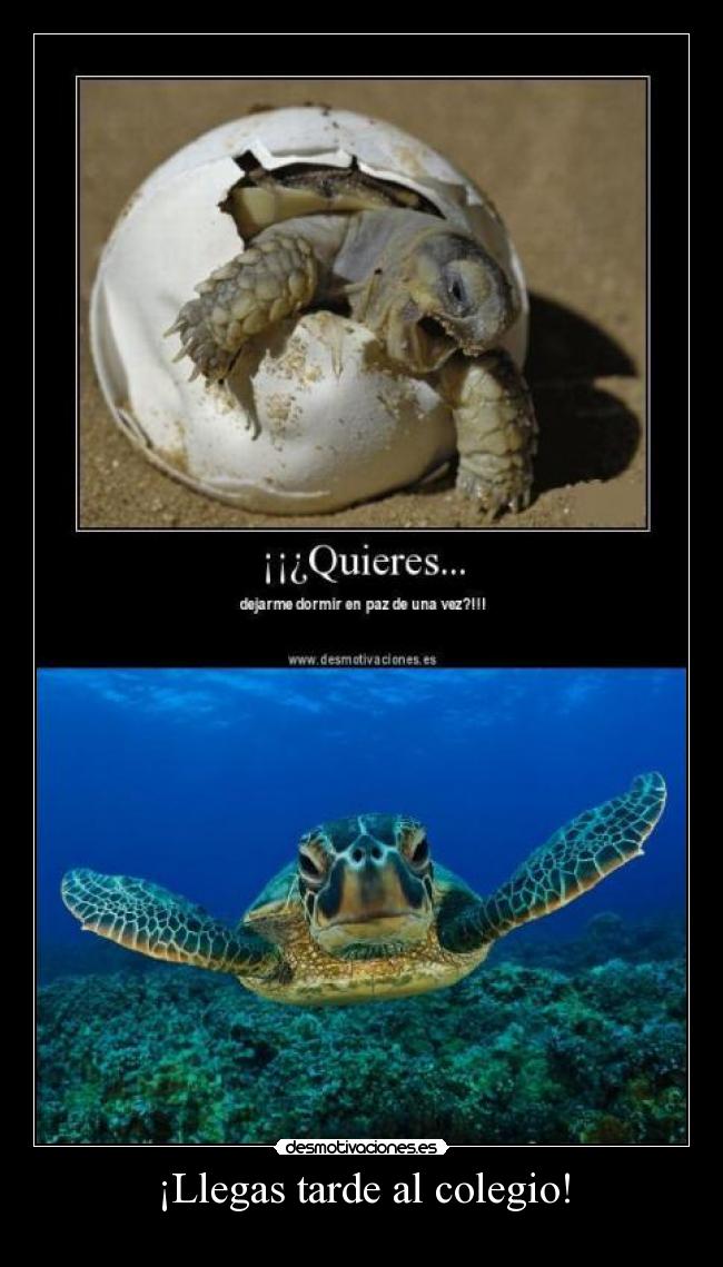 ¡Llegas tarde al colegio! - 