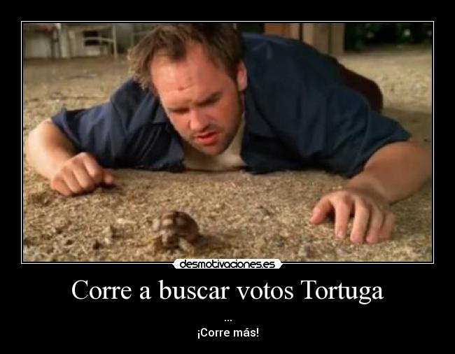 Corre a buscar votos Tortuga - 