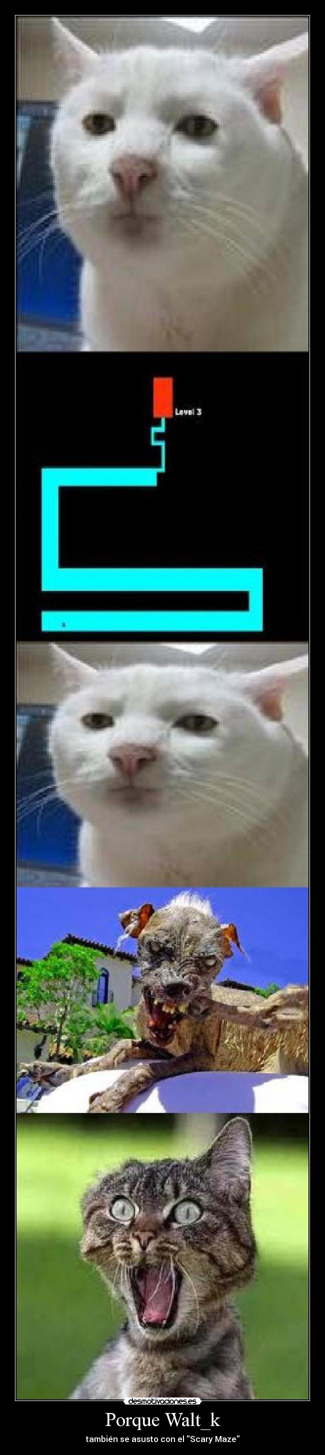 Porque Walt_k - también se asusto con el Scary Maze