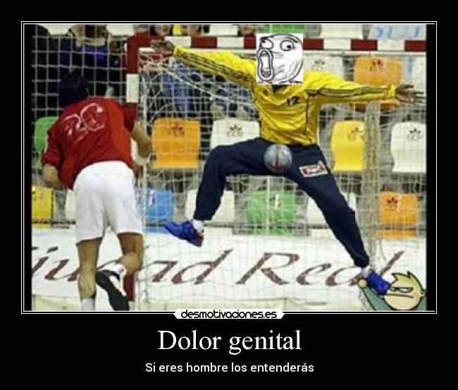 Dolor genital - 