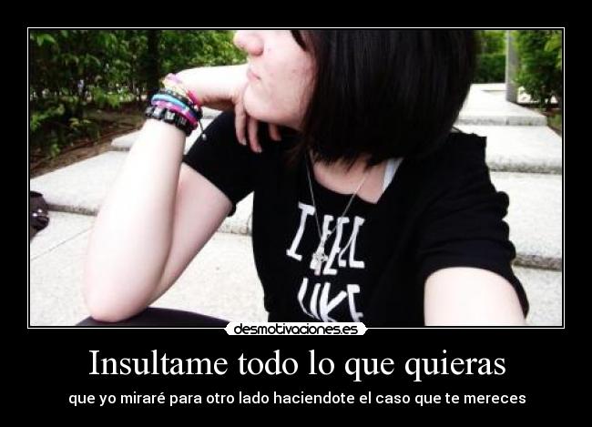 Insultame todo lo que quieras -