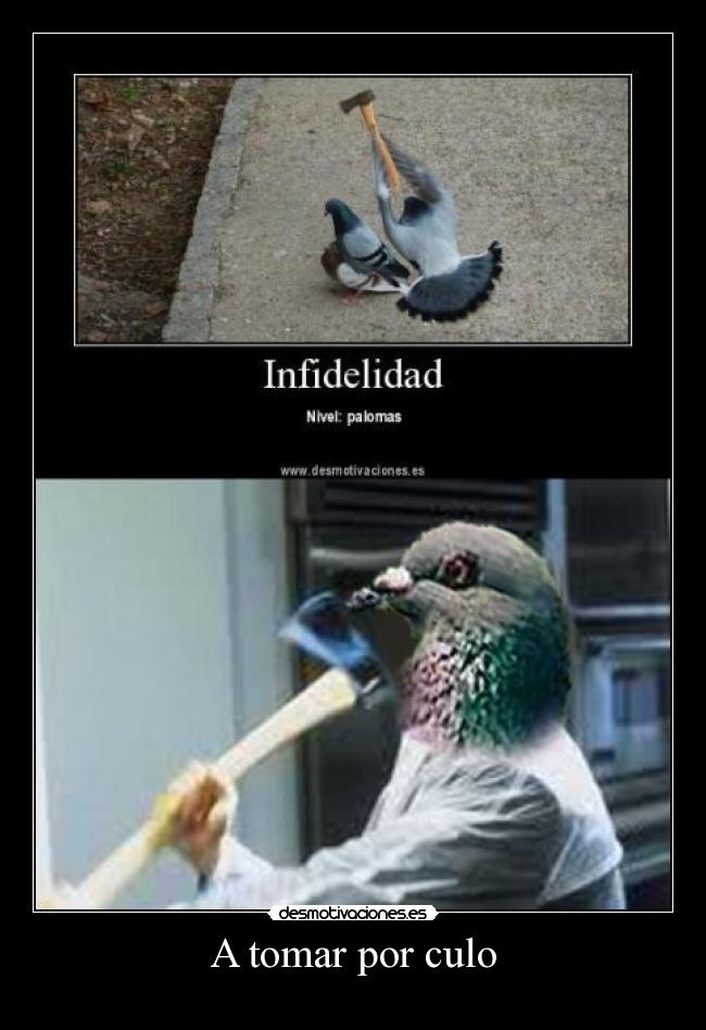A tomar por culo -