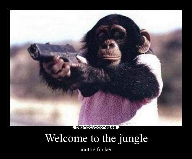 Welcome to the jungle - 