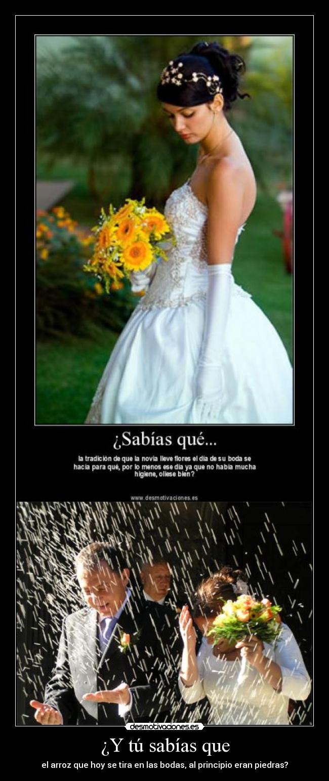 ¿Y tú sabías que - el arroz que hoy se tira en las bodas, al principio eran piedras?