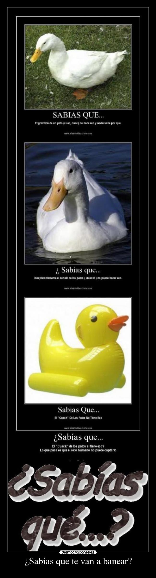 ¿Sabias que te van a banear? -