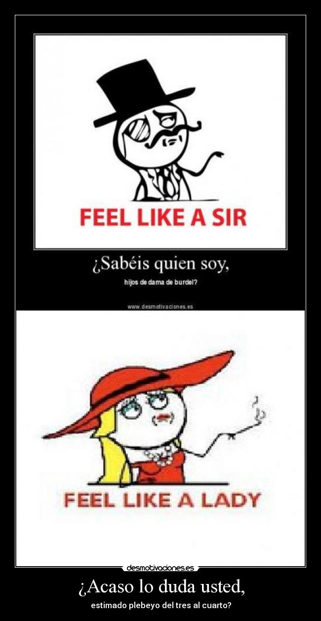 carteles feel like lady desmotivaciones