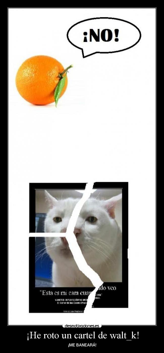 ¡He roto un cartel de walt_k! - ¡ME BANEARÁ!