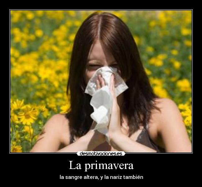 La primavera - la sangre altera, y la nariz también
