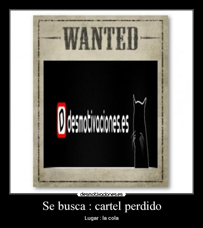 Se busca : cartel perdido -