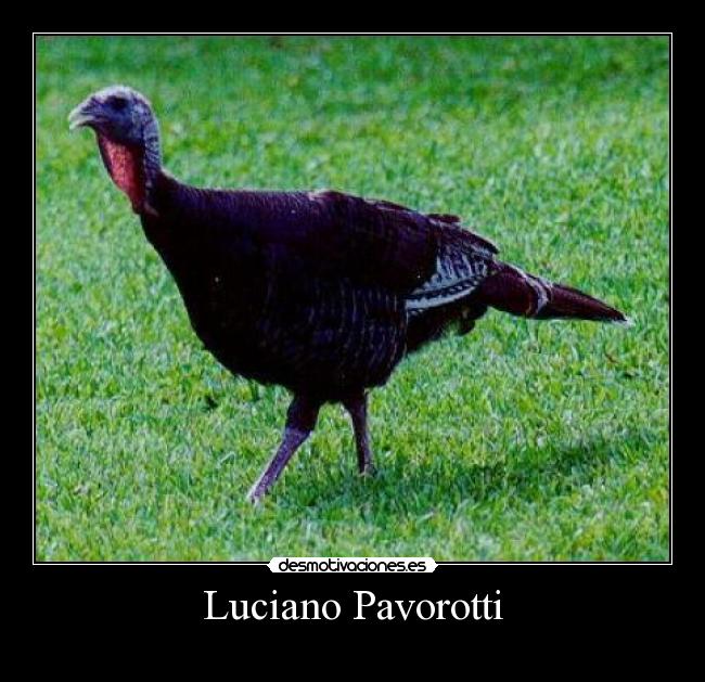 Luciano Pavorotti - 