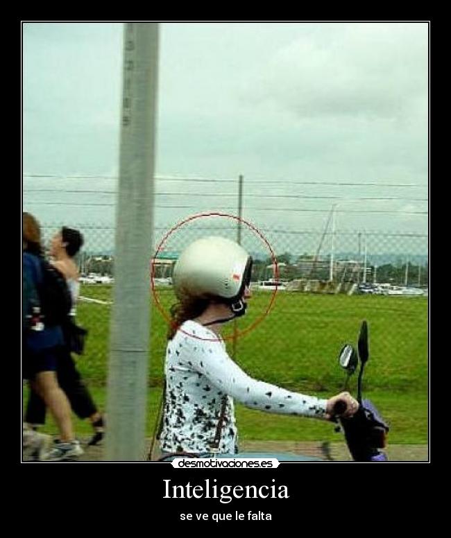 Inteligencia - se ve que le falta
