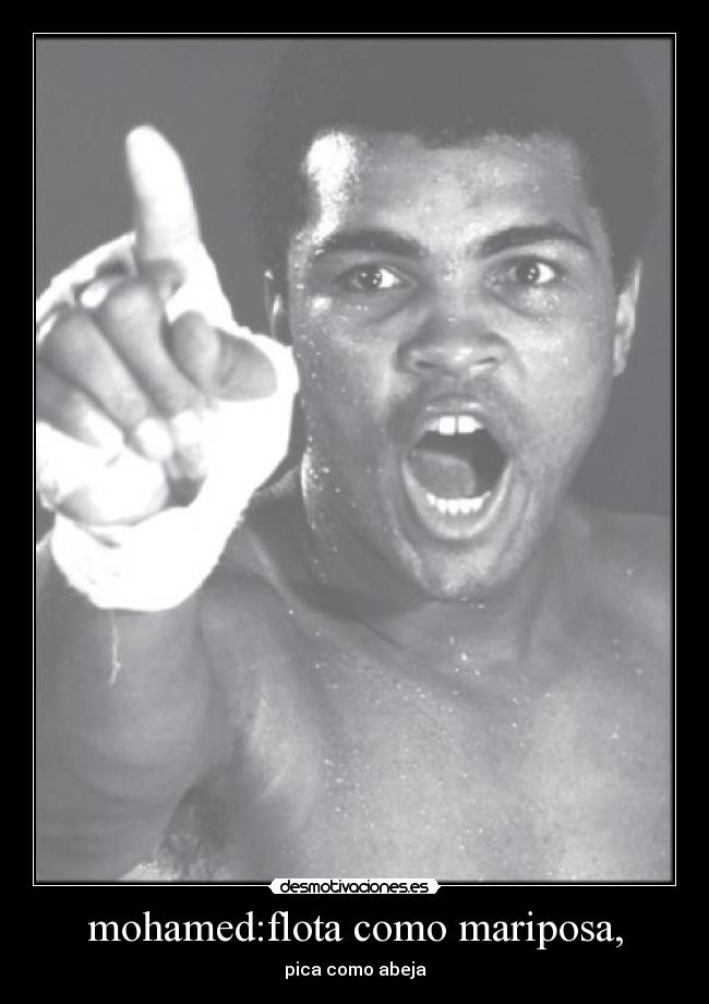 mohamed:flota como mariposa, - pica como abeja