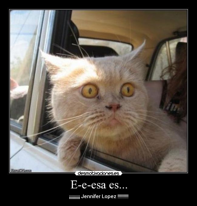 E-e-esa es... -