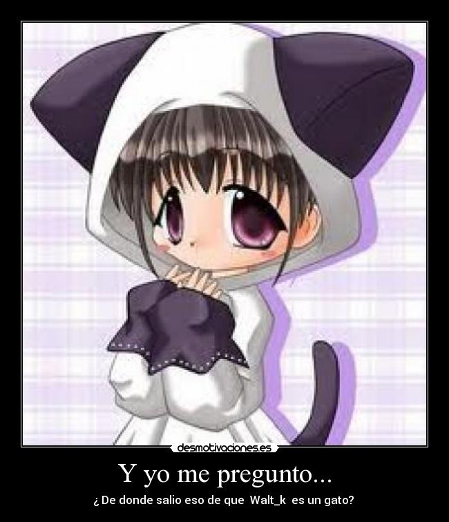 carteles dudas existenciales mias desmotivaciones