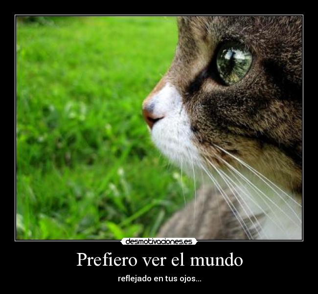 Prefiero ver el mundo - reflejado en tus ojos...